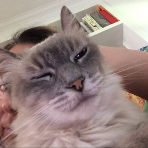 Meet your Posher, Silvia